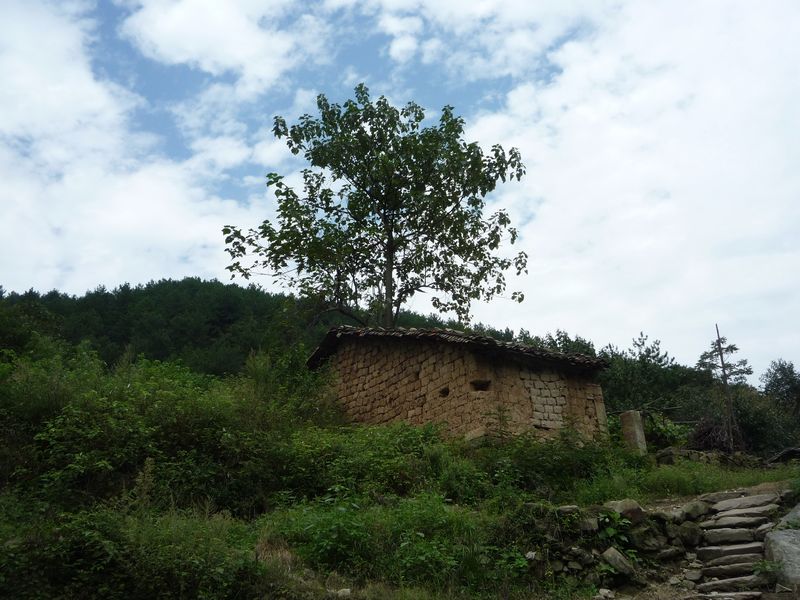 p1040010.jpg
