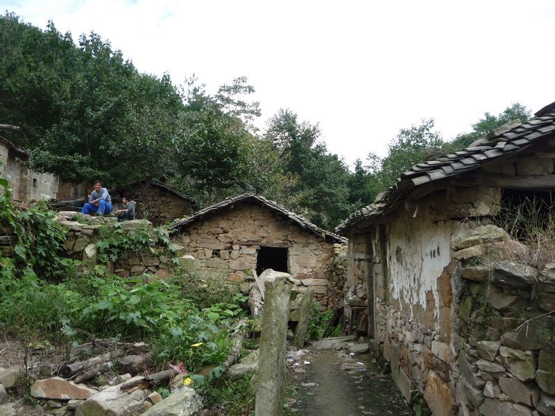 p1040010.jpg