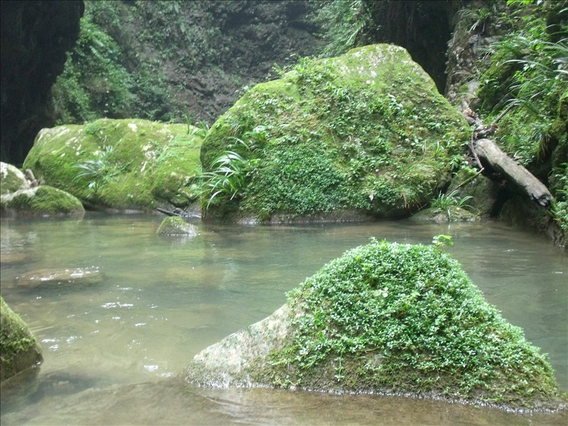 Ϫ2010.08.31 222.jpg