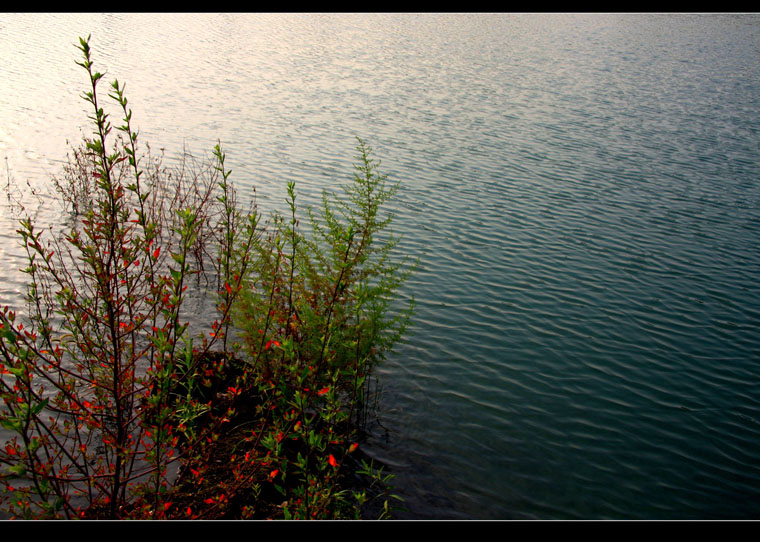 img_7798.jpg