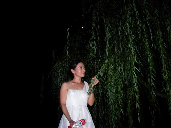 100_2937.jpg