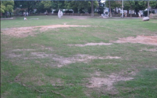 05.jpg