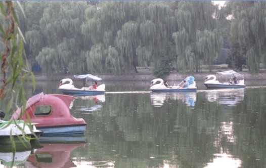 04.jpg