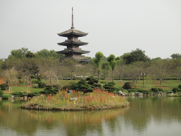 dsc01757.jpg