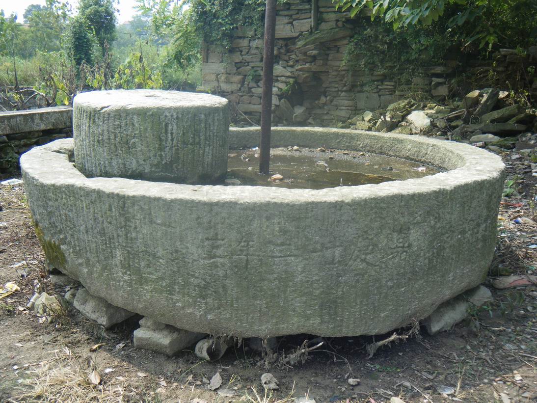 dscf1545.jpg