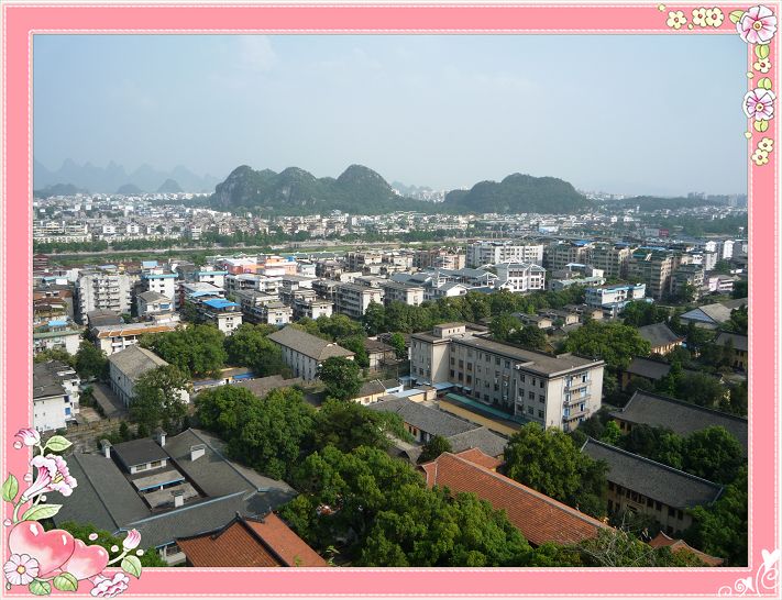 p1050694-1.jpg