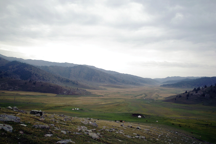 sdim0379.jpg