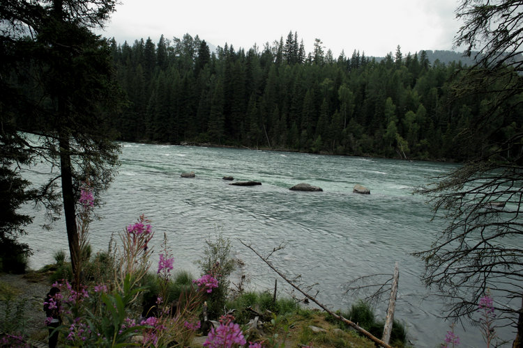 sdim0395.jpg