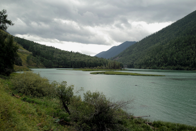 sdim0443.jpg