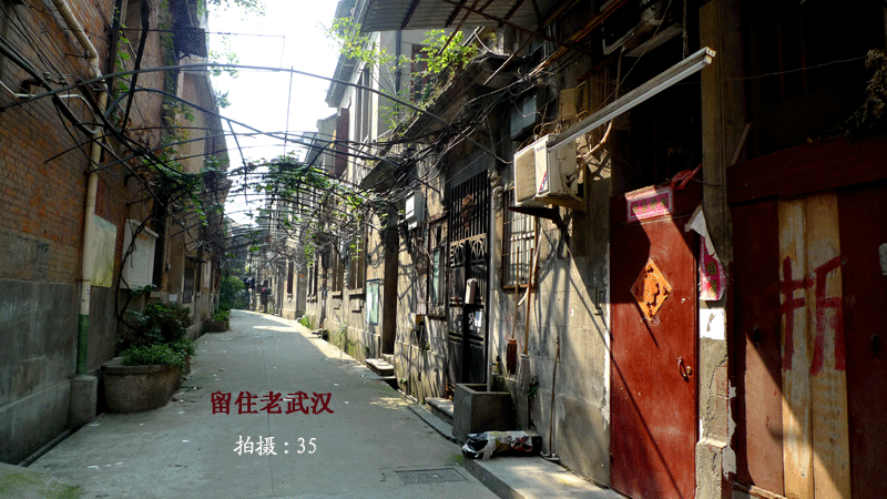 p1030752.gif