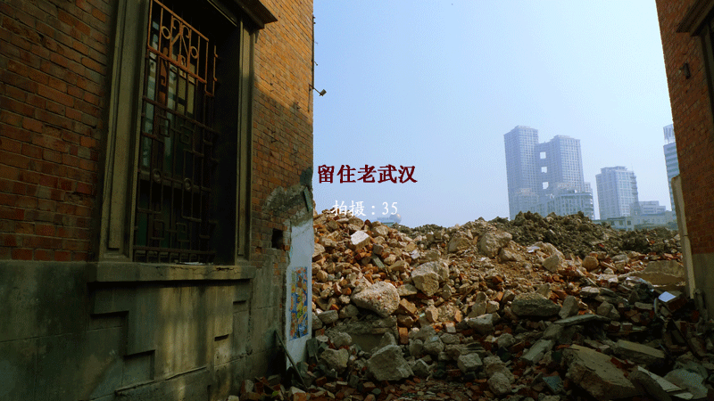 p1030765.gif