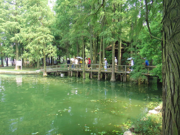 dsc01325.jpg