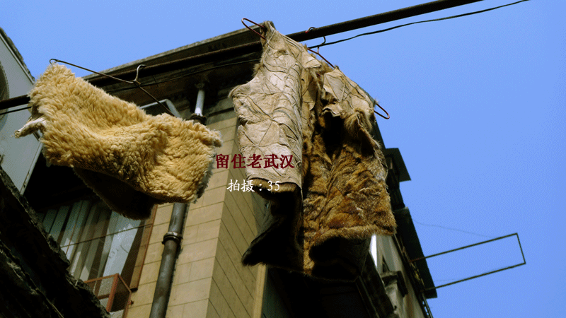 p1030779.gif