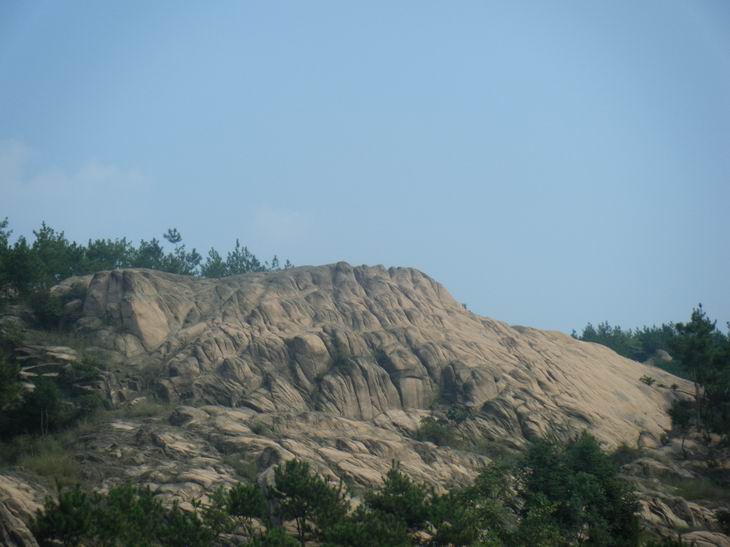 dscf1132.jpg