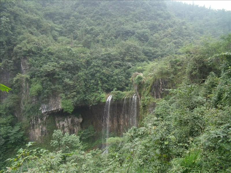 Ϫ2010.08.31 450.jpg