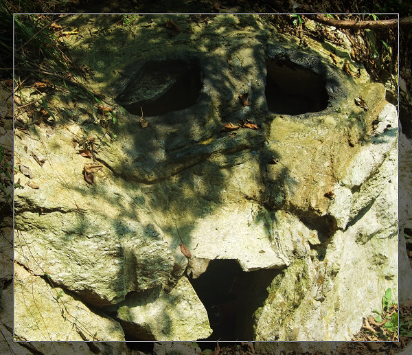 .jpg