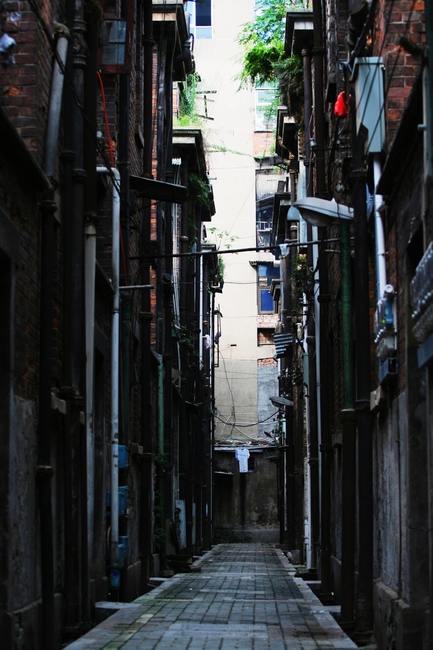 ɻ 002.jpg