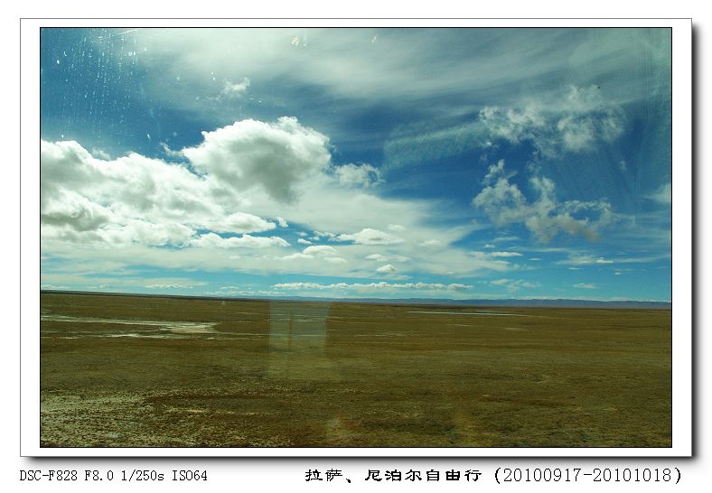 dsc08916.jpg