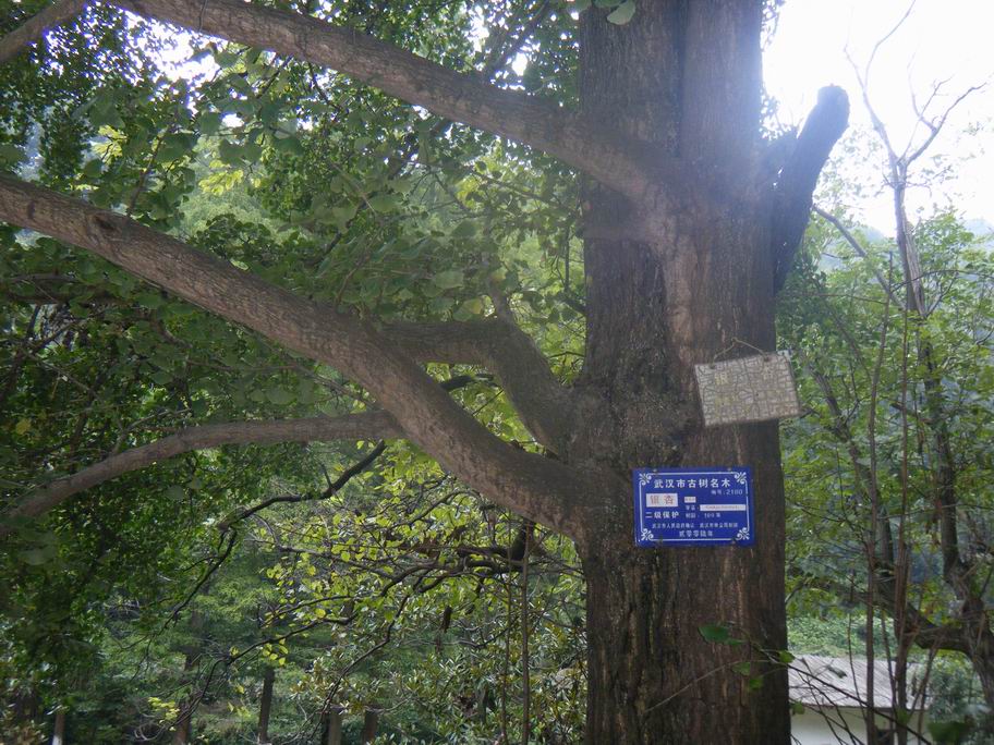 dscf1575.jpg
