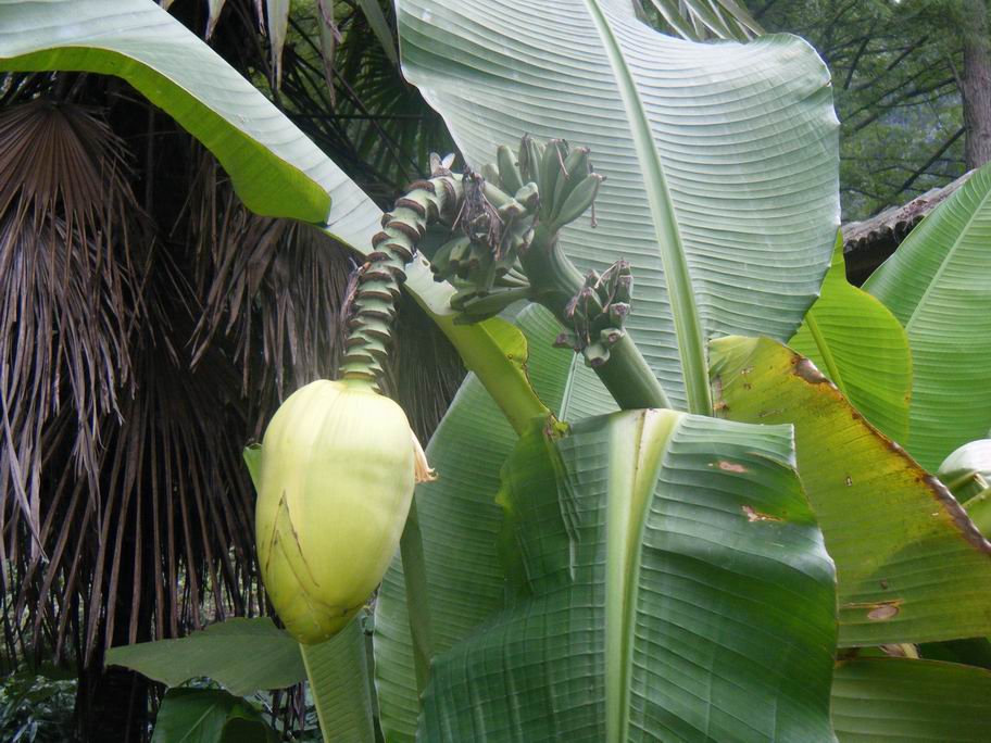 dscf1576.jpg