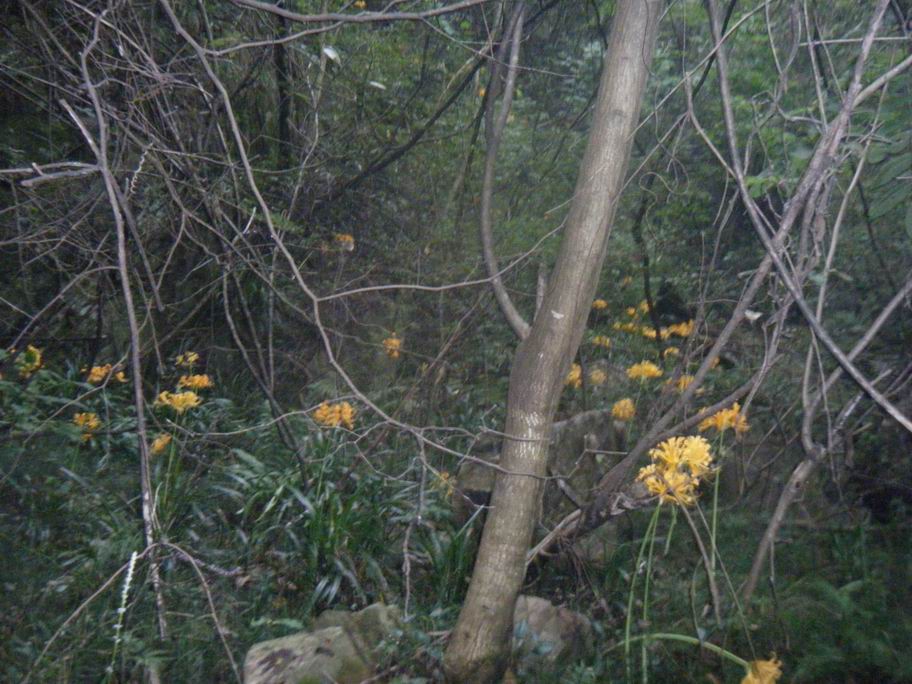 dscf1590.jpg