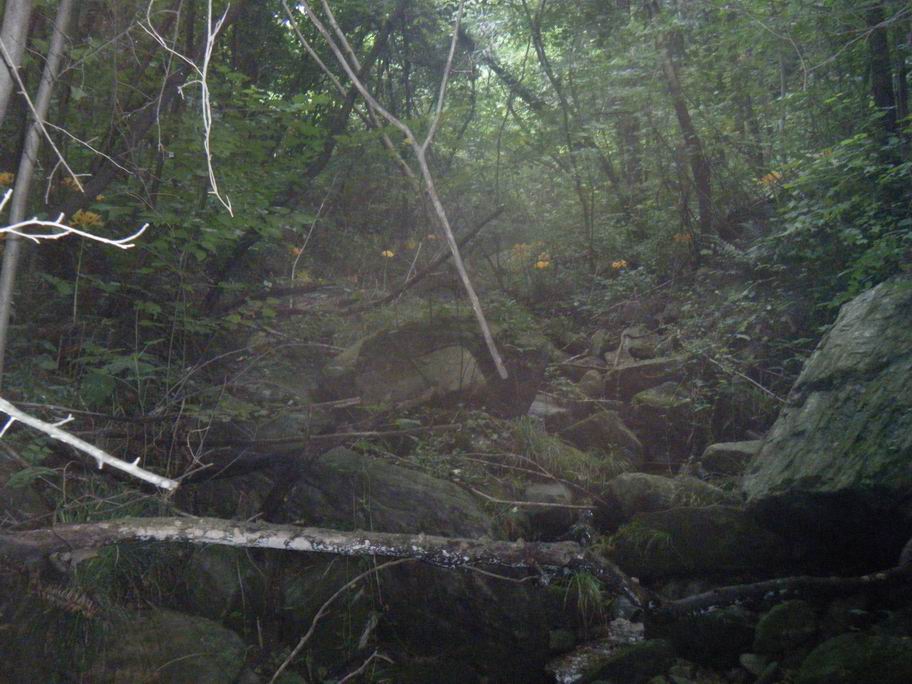 dscf1595.jpg