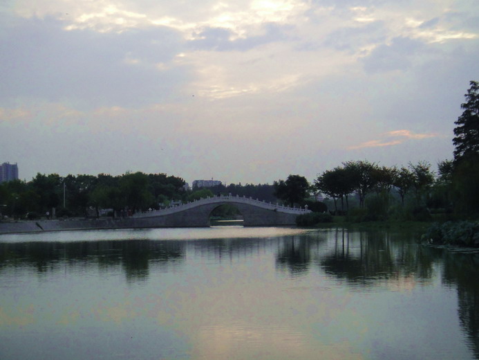 dsc02514.jpg