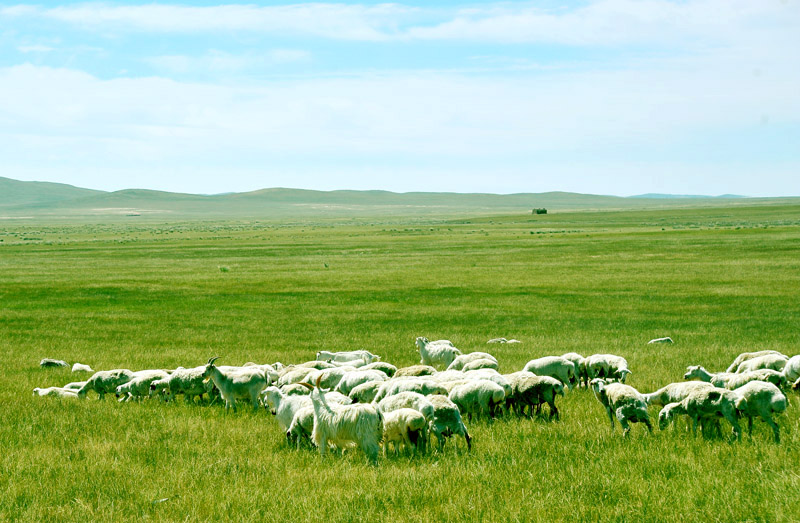 dxh_3081.jpg