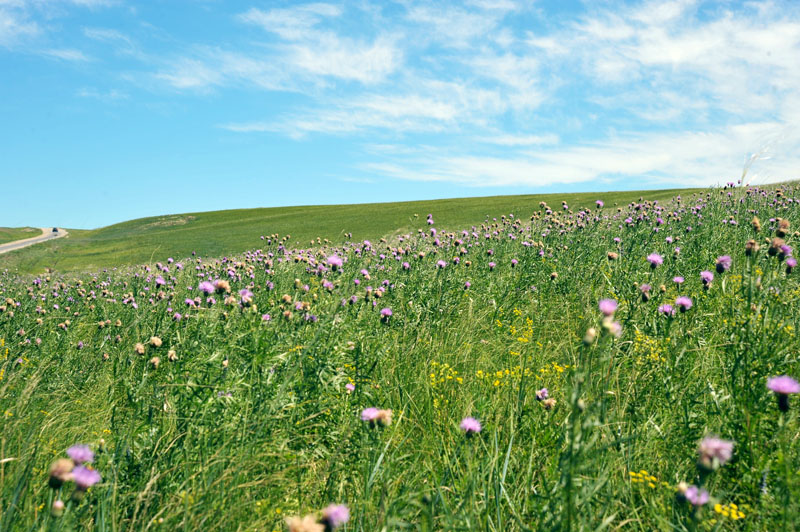 dxh_3118.jpg