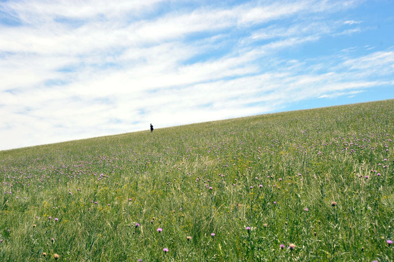 dxh_3120.jpg