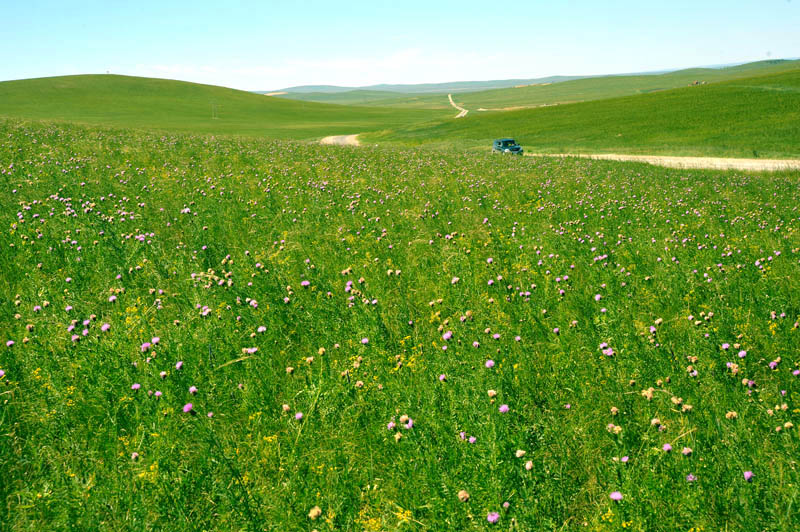dxh_3117.jpg