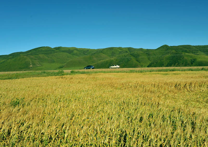 dxh_3180.jpg