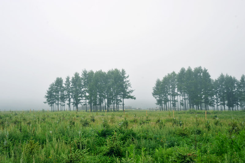 dxh_3372.jpg