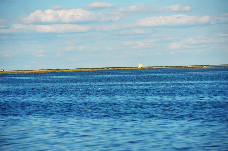 dxh_3416.jpg