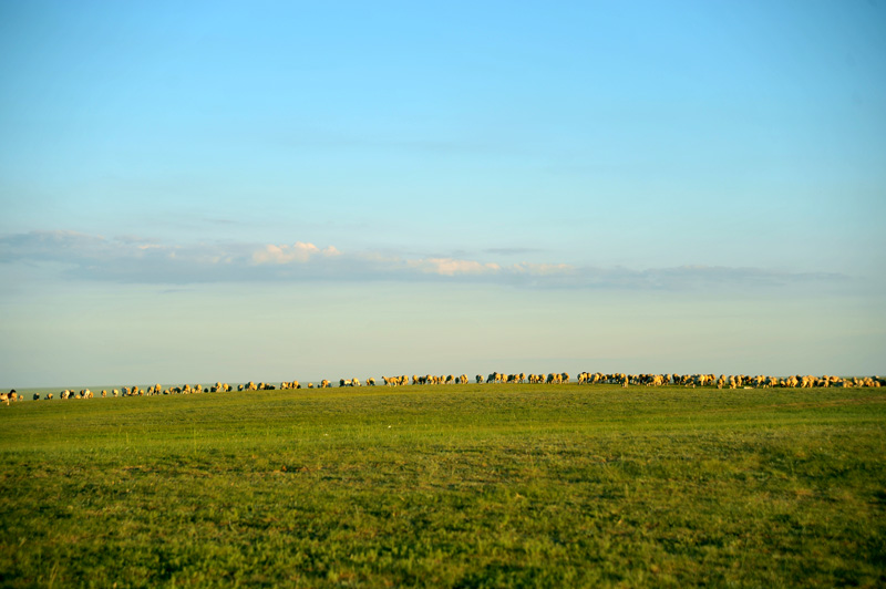 dxh_3487.jpg