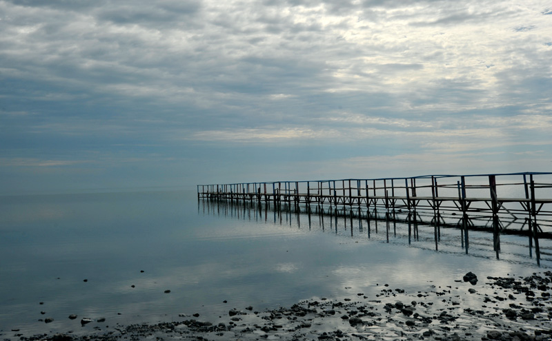 dxh_3598.jpg