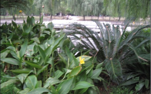 03.jpg