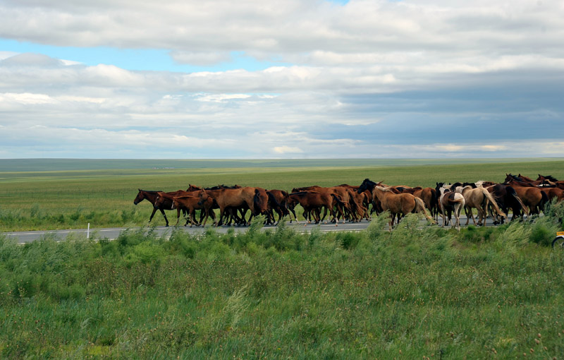 dxh_3880.jpg