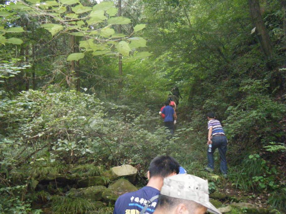dscf1579.jpg
