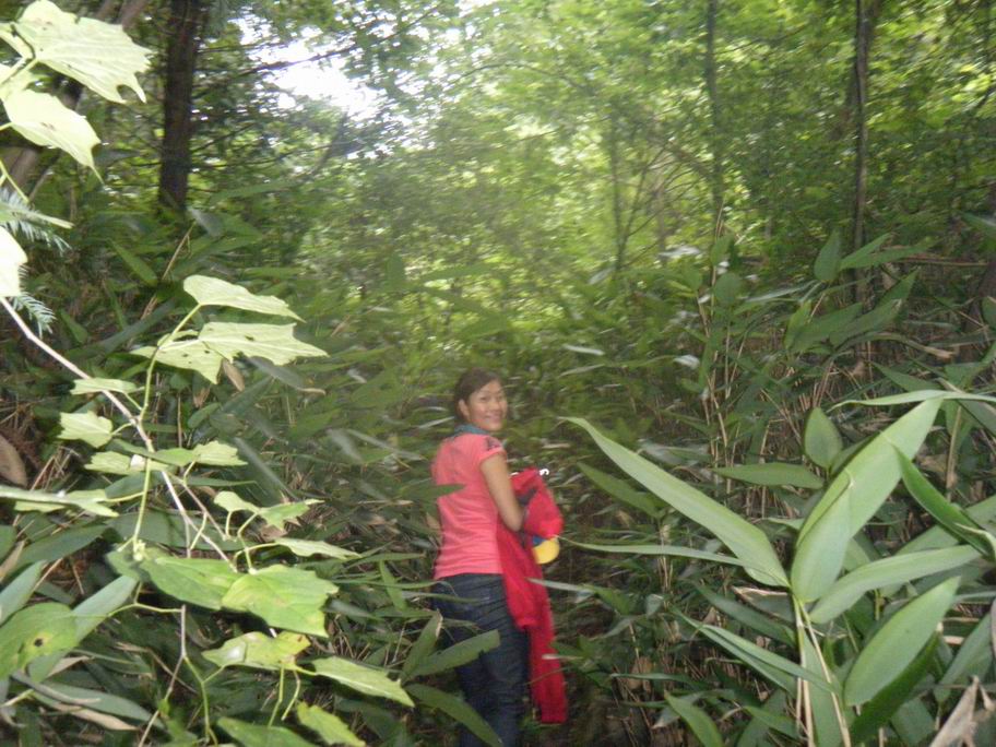 dscf1587.jpg