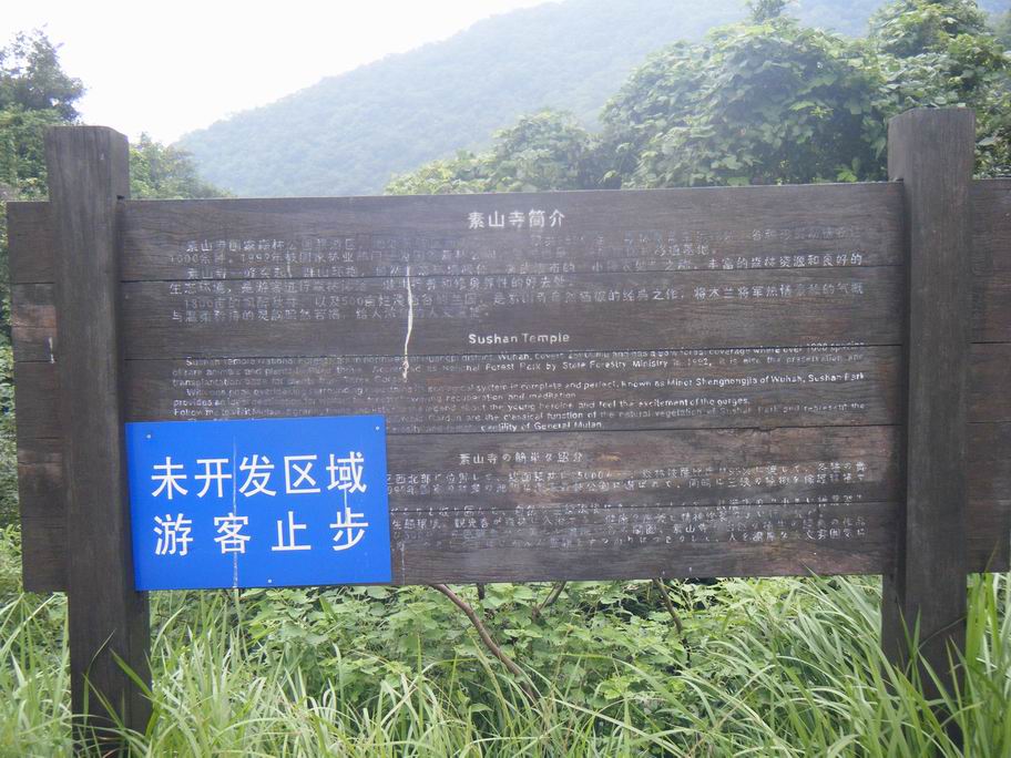dscf1599.jpg