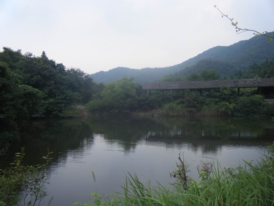 dscf1600.jpg