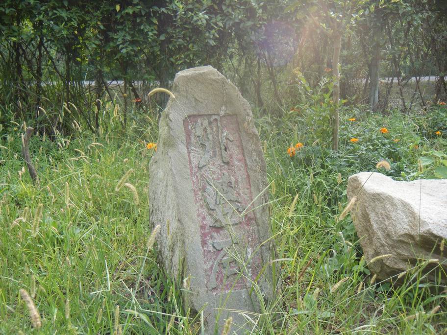 dscf1620.jpg