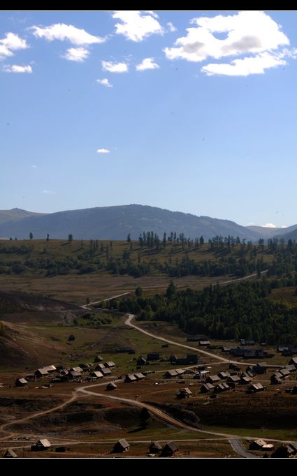 dsc_0307.jpg