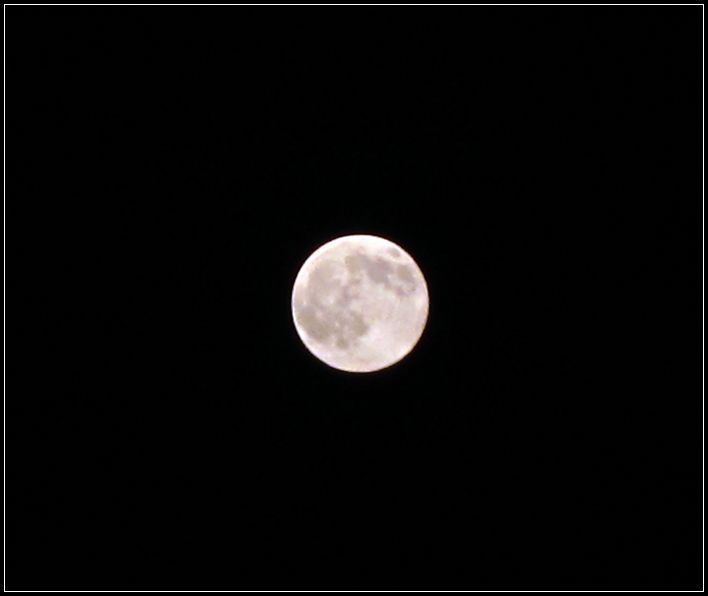 img_0830.jpg
