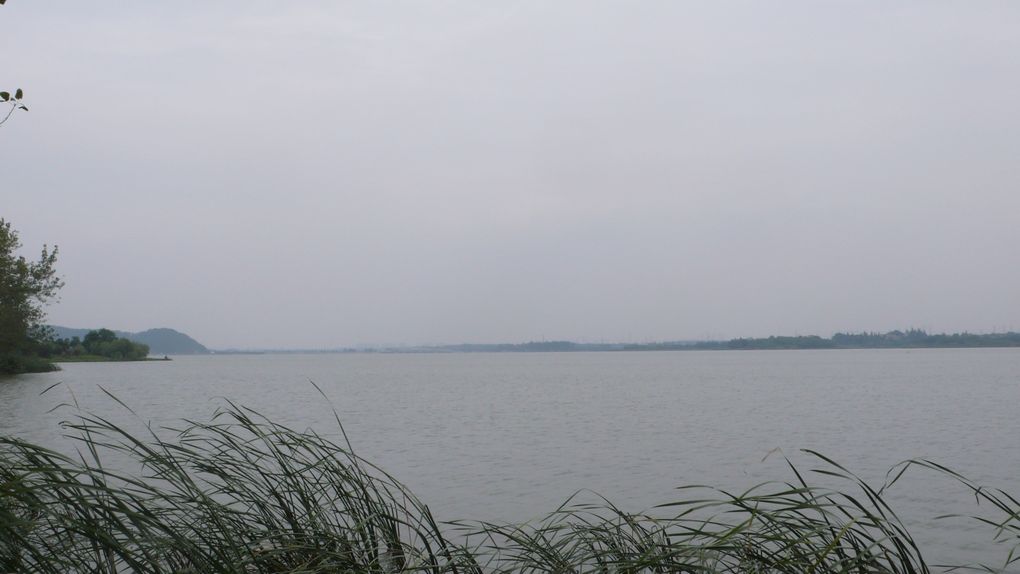 l1080806.jpg