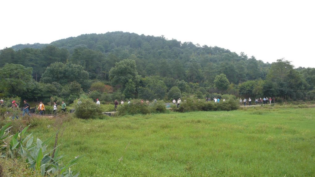 l1080794.jpg