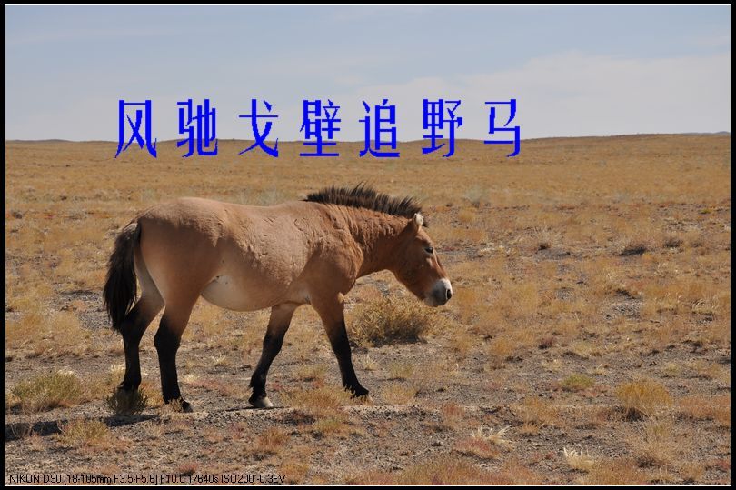 ҰܽӴ.jpg