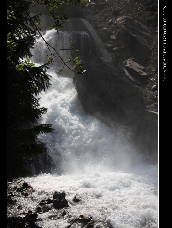 img_5256.jpg