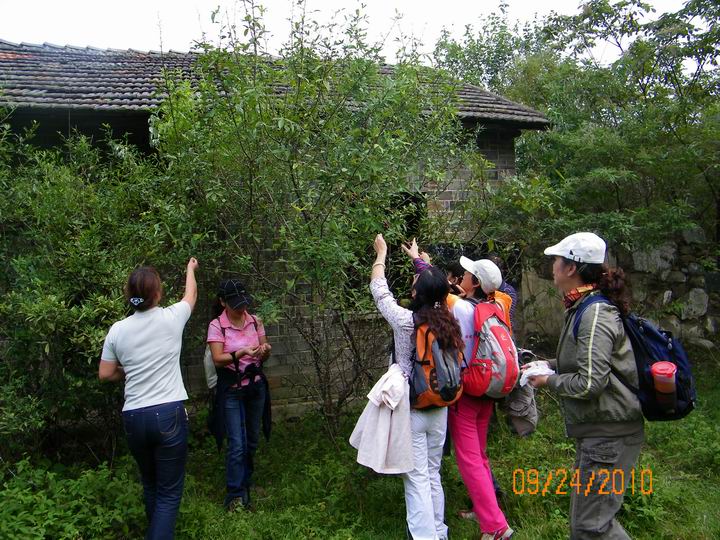 100_0460.jpg